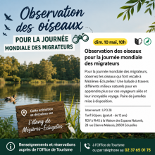 OBSERVATION DES OISEAUX 