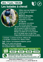 Les balades à cheval