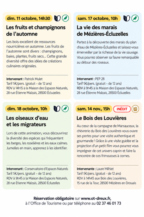 Activités d'automne